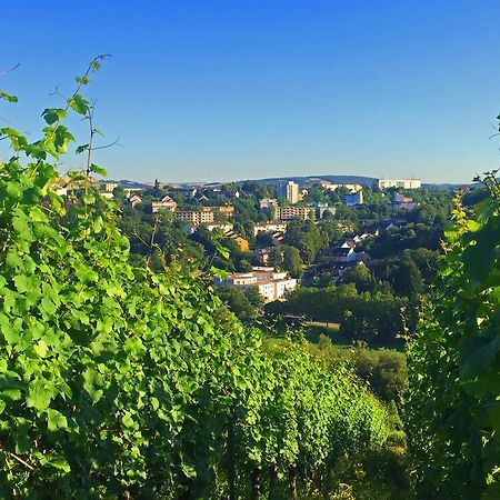 Schroeders Wein-Style-Hotel Trier Luaran gambar