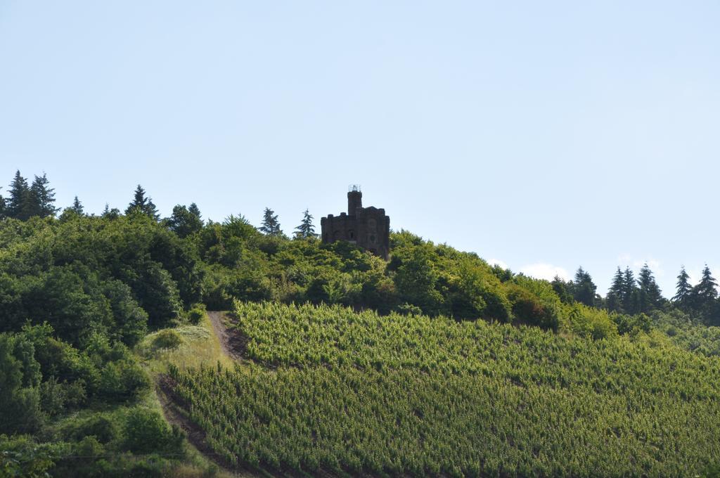 Schroeders Wein-Style-Hotel Trier Luaran gambar